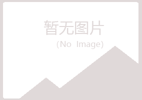 青岛白山保险有限公司